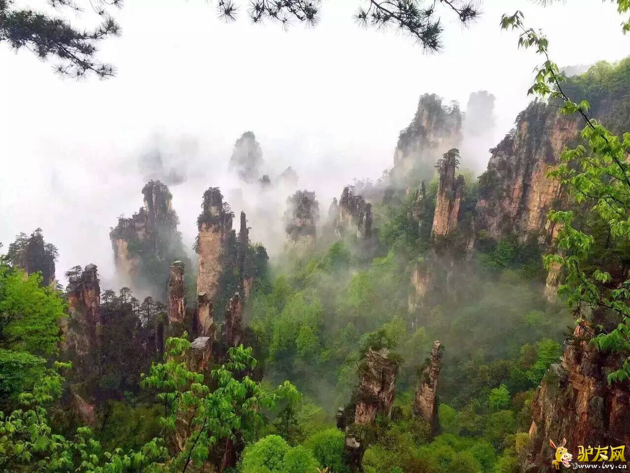 朦胧云海.jpg